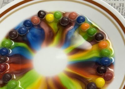 2025 SRP Color Wheel Activity with skittles melting on a plate